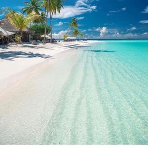 Meet your Posher, Nayeli